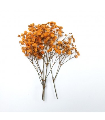 Şoklanmış Pıtırcık Kuru Çiçekler - Turuncu - Mini demet